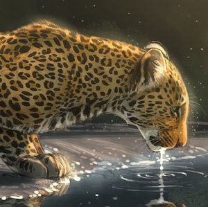 Meet your Posher, Irma